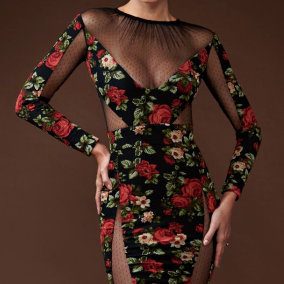 Bao Tranchi Dresses & Skirts - Bao Tranchi Red Rose Dress